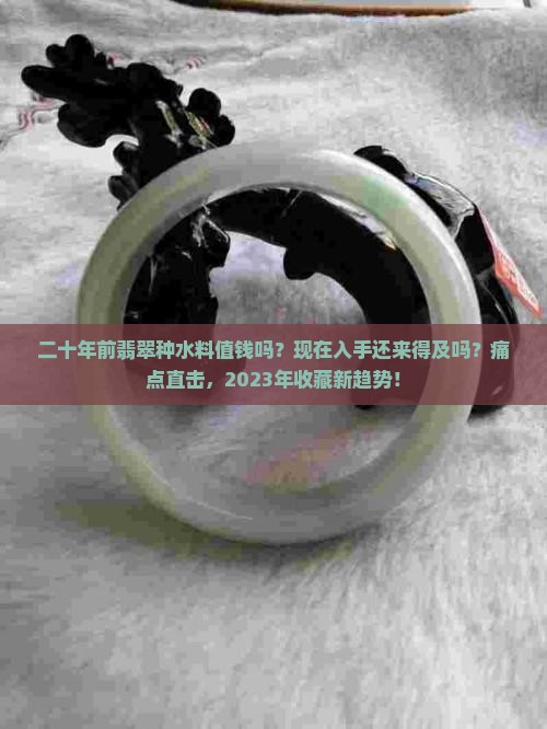 二十年前翡翠种水料值钱吗