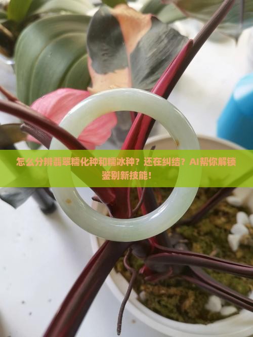 怎么分辨翡翠糯化种和糯冰种