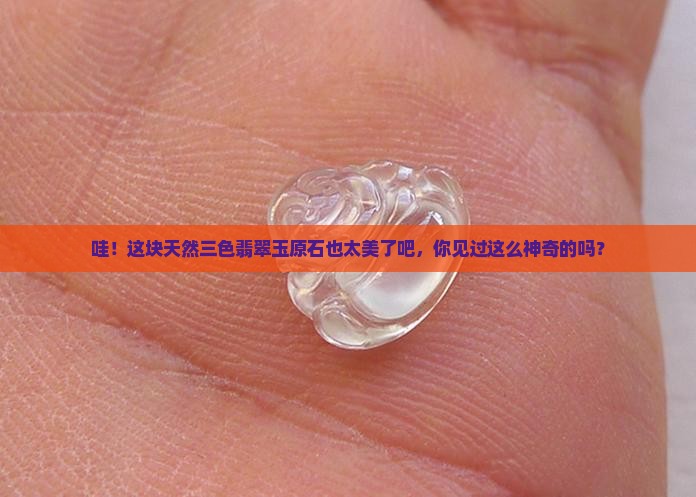 天然三色翡翠玉原石