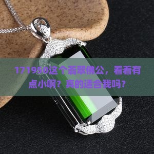 翡翠佛公171950小吗