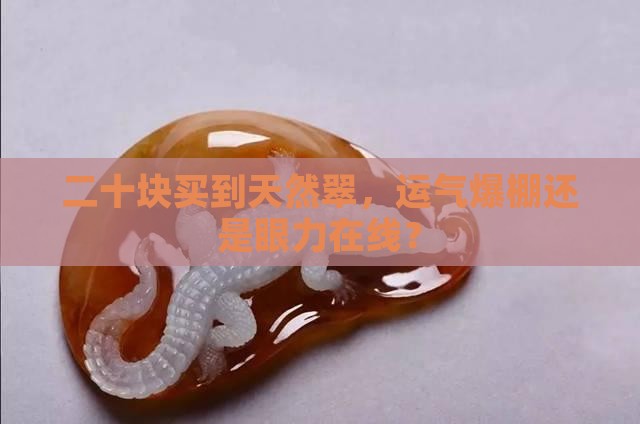 二十块钱天然翠