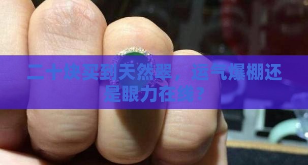 二十块钱天然翠