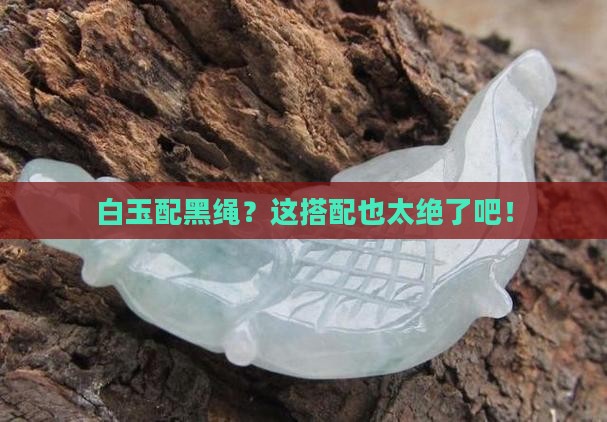 白玉配黑绳 白玉配黑绳