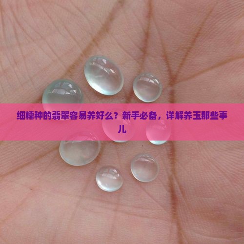 细糯种的翡翠容易养好么