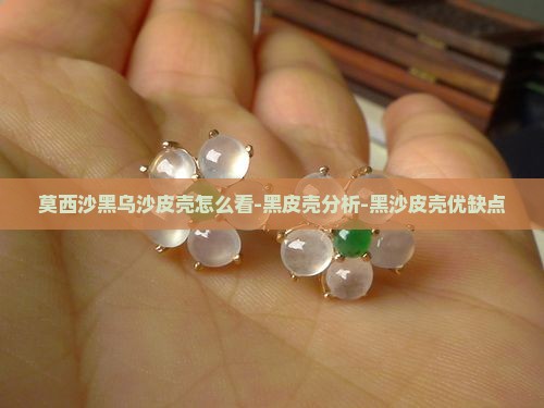 莫西沙黑乌沙皮壳怎么看
