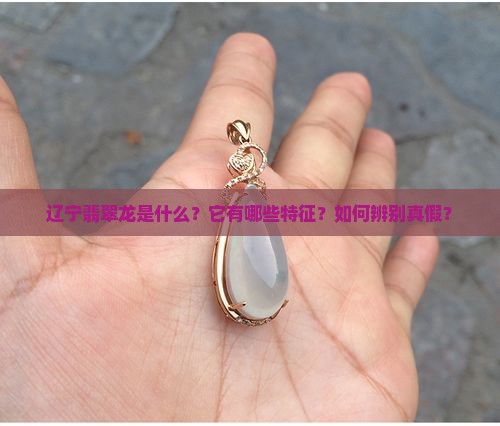 辽宁翡翠龙