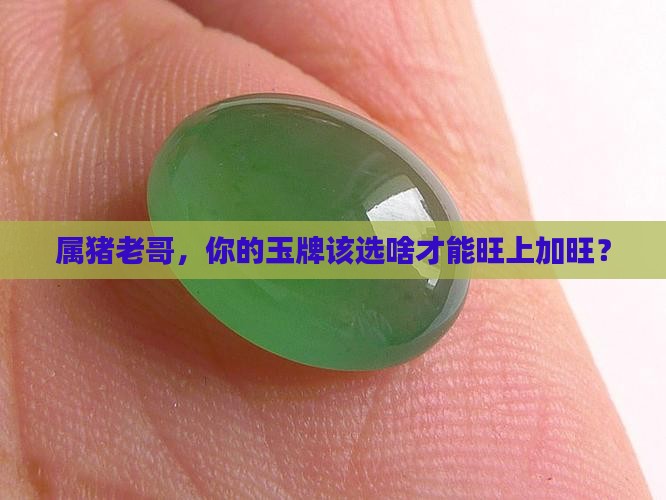 属猪男的挂什么玉牌好 属猪男的挂什么玉牌好