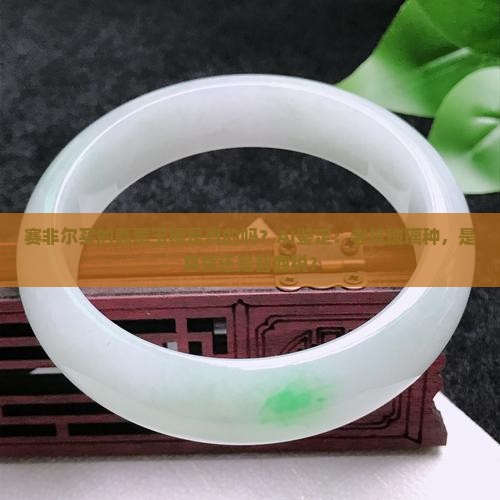 赛非尔买的翡翠玉镯是真的吗 赛非尔买的翡翠玉镯是真的吗