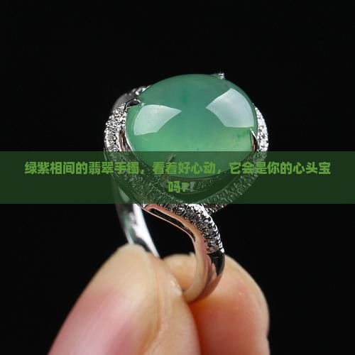 绿紫相间翡翠手镯