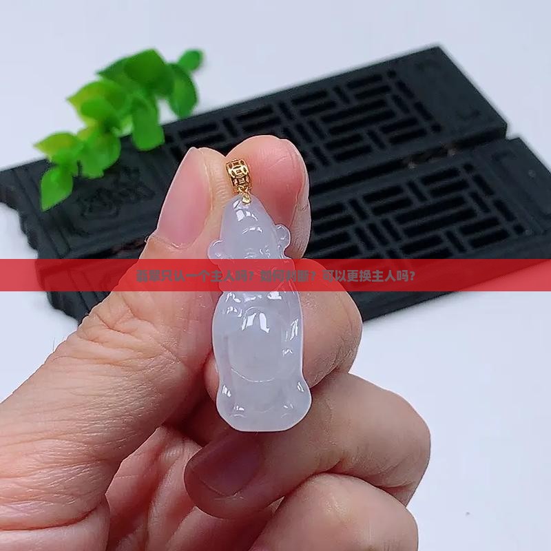 翡翠只认一个主人吗