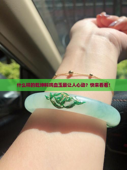 什么样的乾坤料鸡血玉最好
