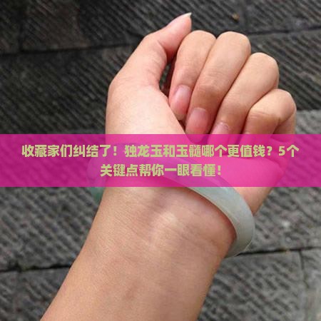独龙玉和玉髓哪个贵