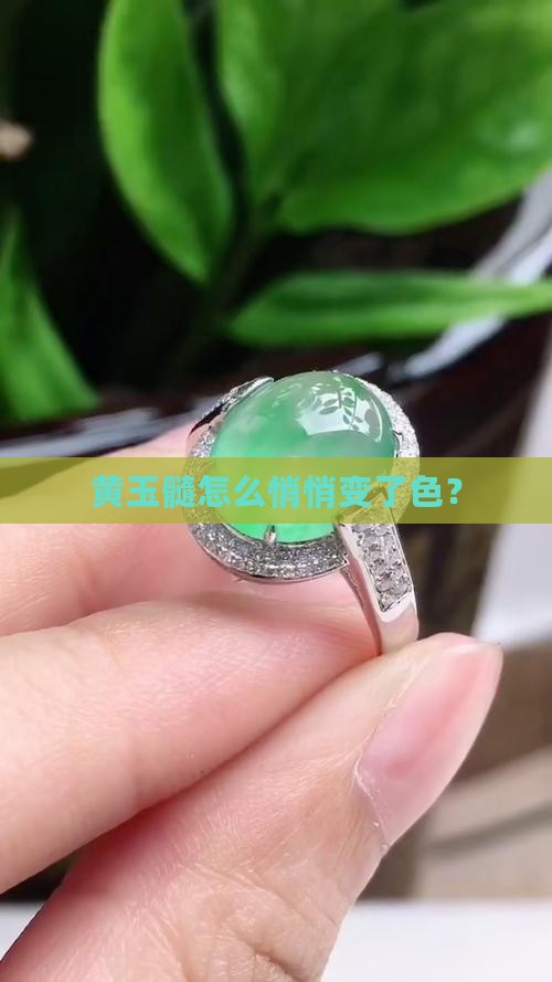 黄玉髓变白了 黄玉髓变白了