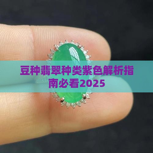 豆种紫翡翠