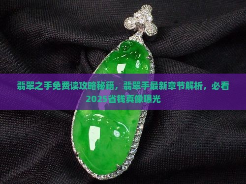 翡翠之手免费读