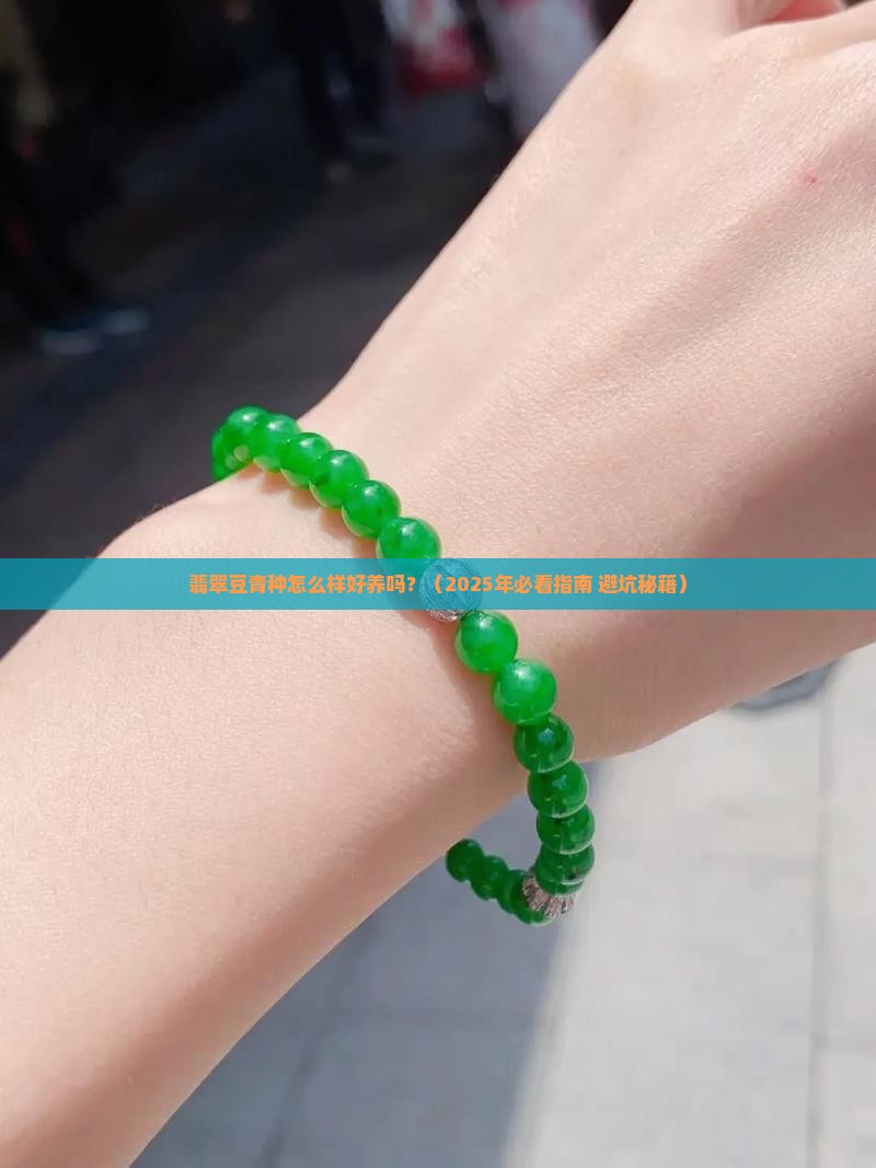 翡翠豆青种怎么样好养吗