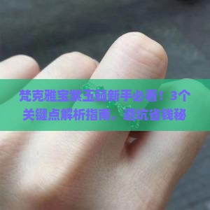 梵克雅宝紫玉髓
