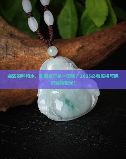 翡翠的种和水是一个意思吗