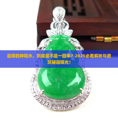 翡翠的种和水是一个意思吗