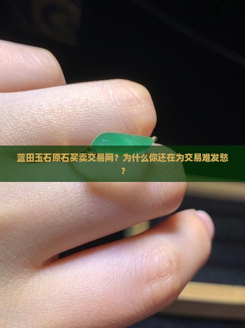 蓝田玉石原石买卖交易网