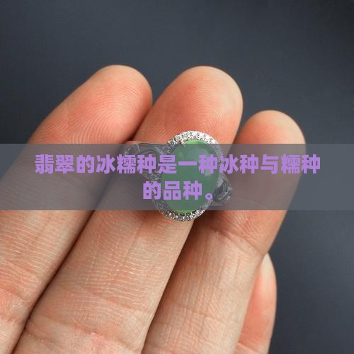 翡翠的冰糯种吗