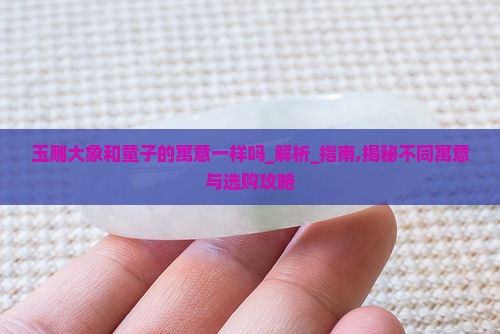玉雕大象和童子的寓意一样吗