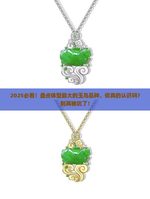 体型最大的玉鸟品种