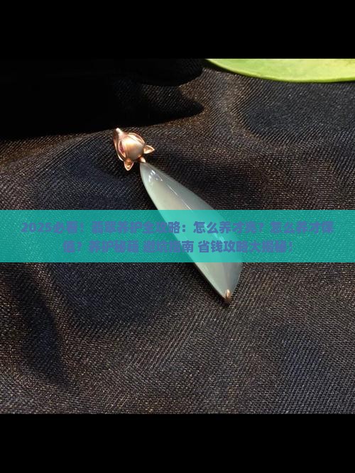 怎么养翡翠才好