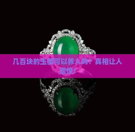 几百块的玉镯可以养人吗