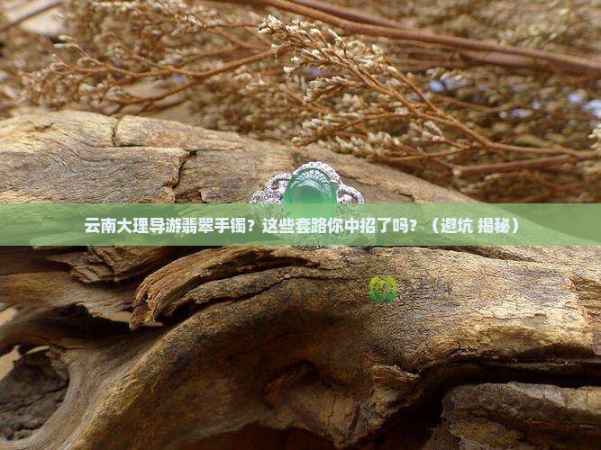 云南大理导游翡翠手镯