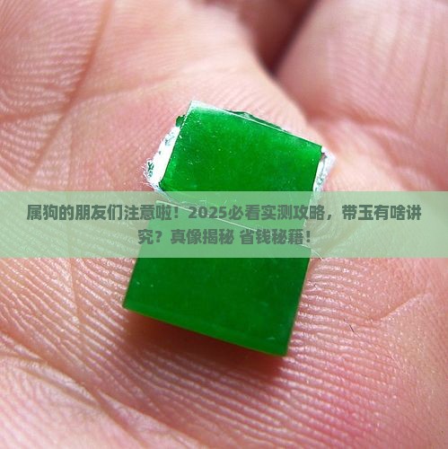 属狗能带玉吗