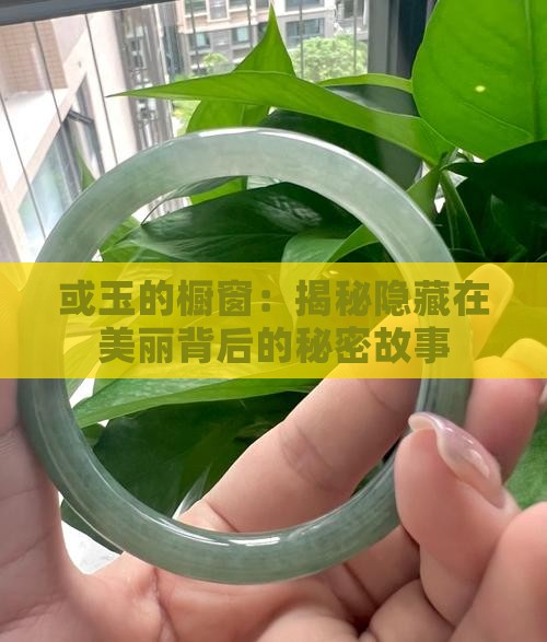 或玉的橱窗