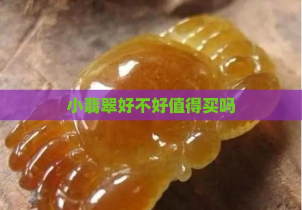 小翡翠好不好