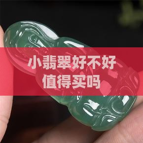 小翡翠好不好
