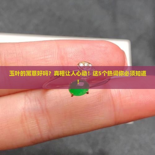 玉叶的寓意好吗