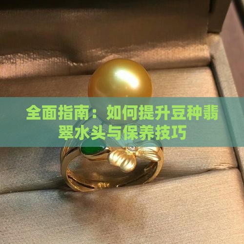 全面指南：如何提升豆种翡翠水头与保养技巧