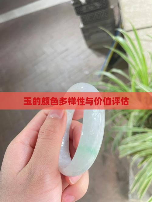 玉的颜色多样性与价值评估
