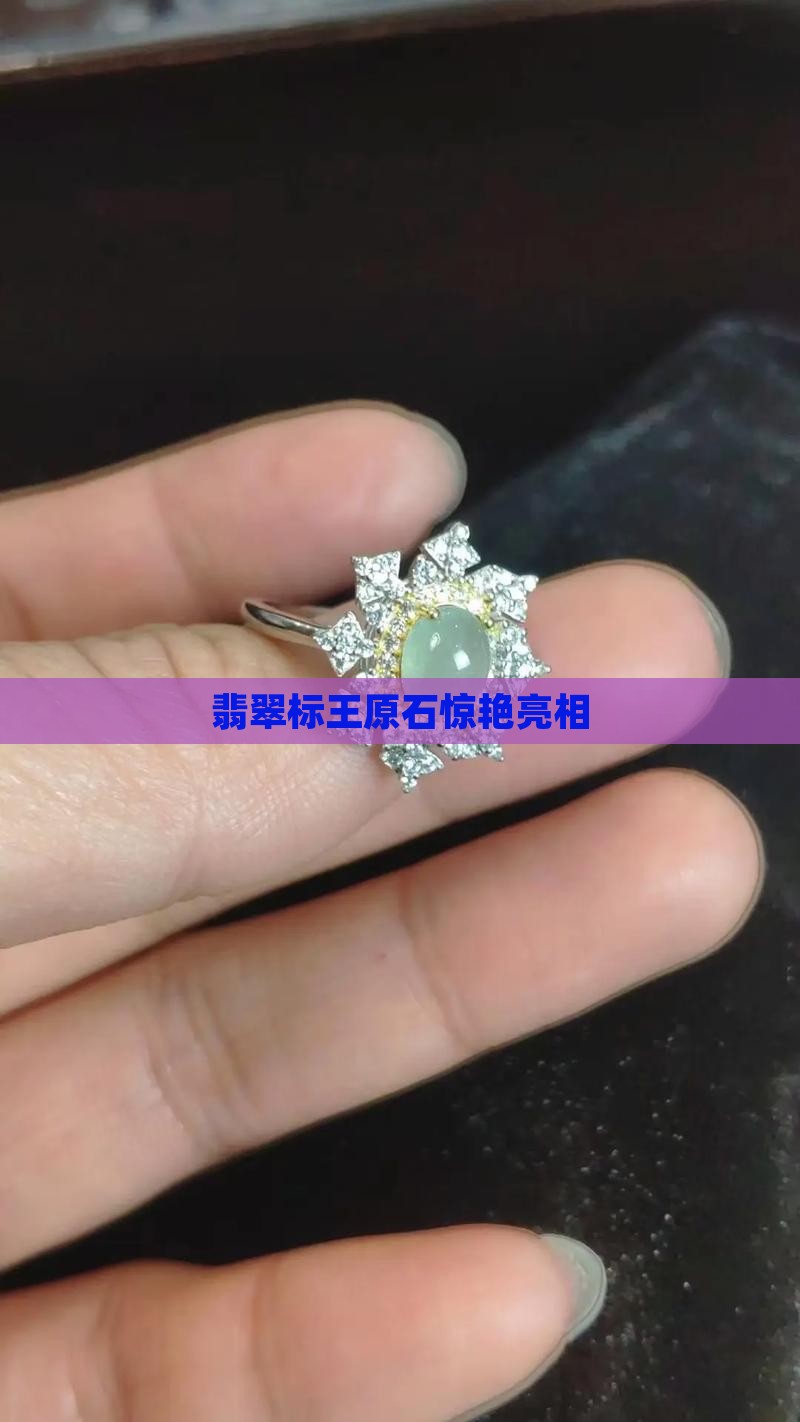 翡翠标王原石惊艳亮相