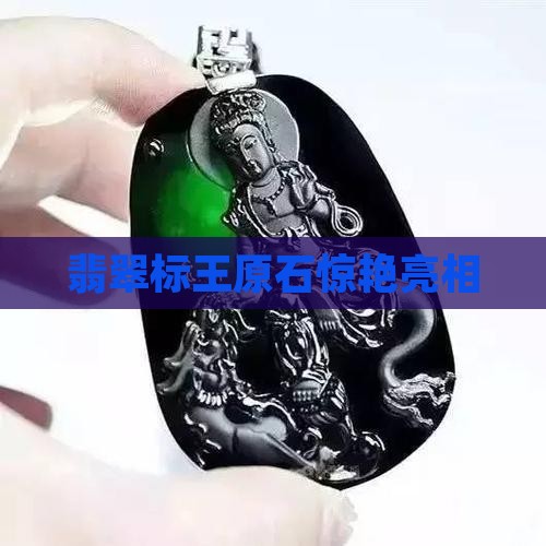 翡翠标王原石惊艳亮相