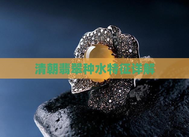 清朝翡翠种水特征详解