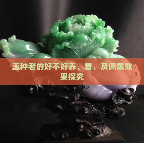 玉种老的好不好养、看，及佩戴效果探究