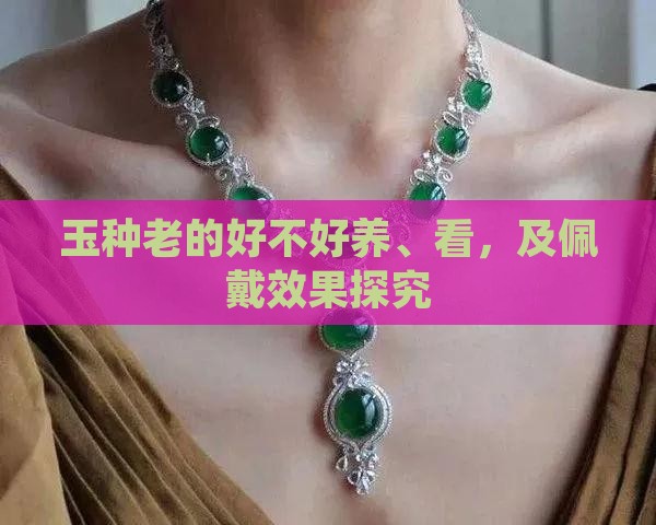 玉种老的好不好养、看，及佩戴效果探究