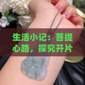 生活小记：菩提心路，探究开片时刻