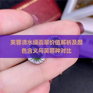 芙蓉清水绿翡翠价值解析及颜色含义与芙蓉种对比