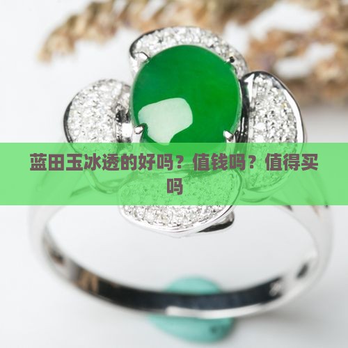 蓝田玉冰透的好吗？值钱吗？值得买吗