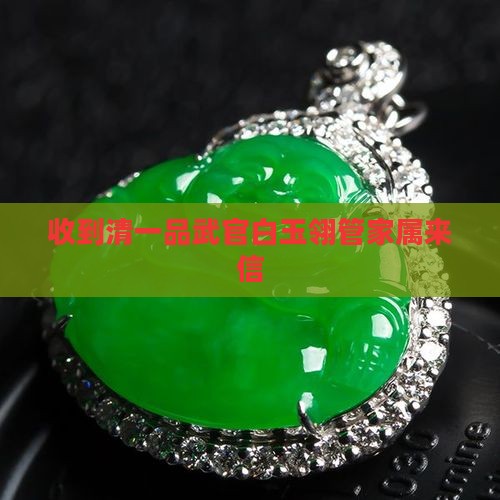 收到清一品武官白玉翎管家属来信
