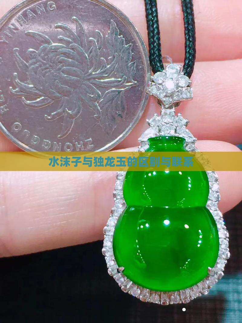 水沫子与独龙玉的区别与联系