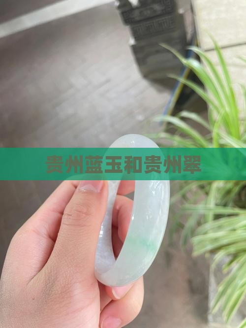 贵州蓝玉和贵州翠