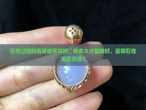 石性过强的翡翠值得买吗，养多久才能戴好，翡翠石性能否养透？