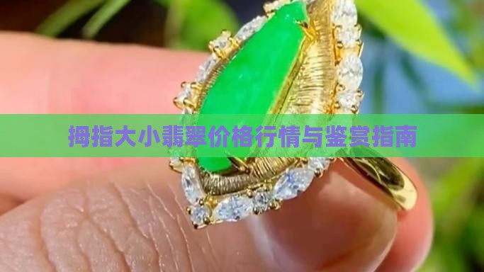 拇指大小翡翠价格行情与鉴赏指南
